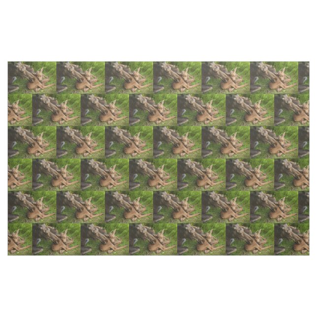 Tissu Tendre Mère Moose (Fat Quarter)