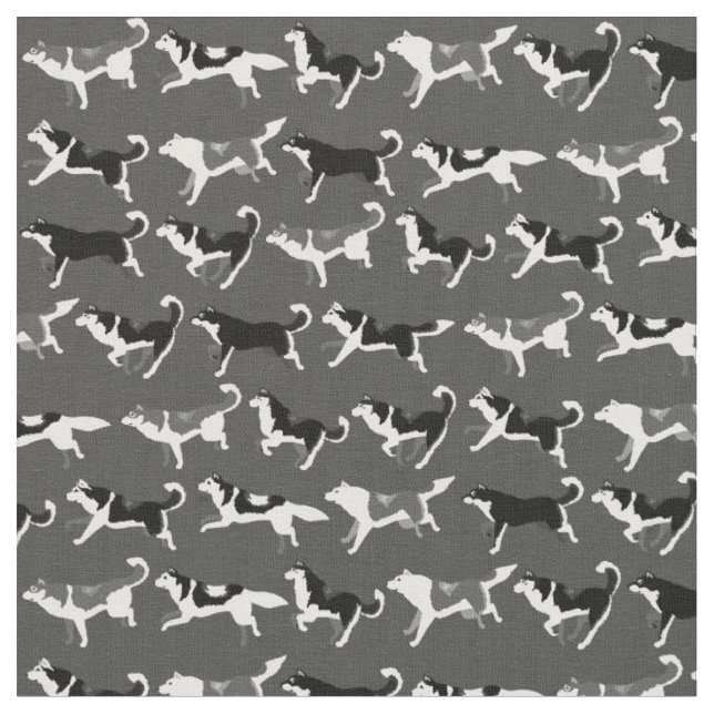 Tissu Textiles enroués de chien de tissus de chien de (Fermer)