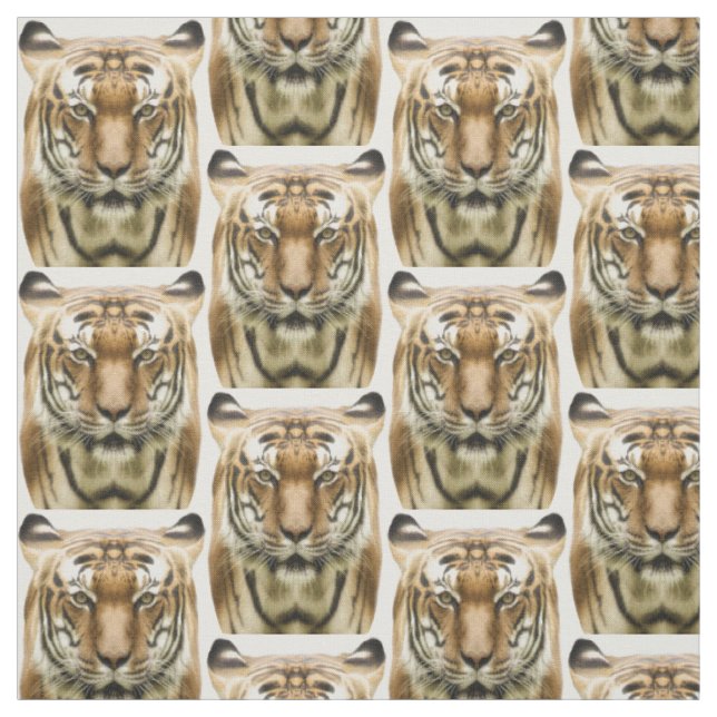 Tissu Tiger Gros plan (Échantillon)