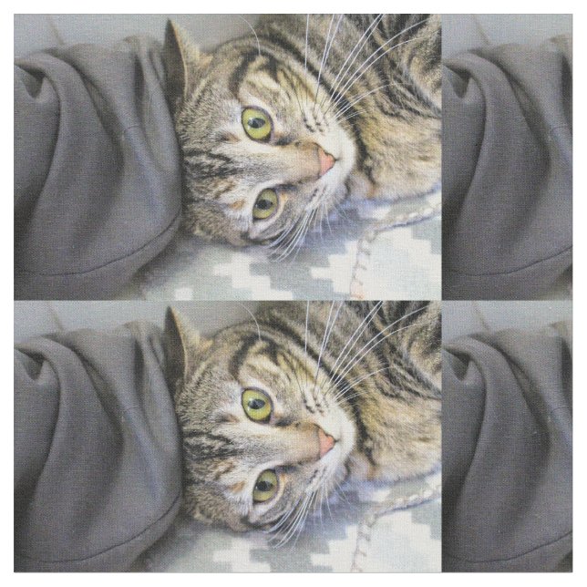 Tissu Tigre (Fermer)