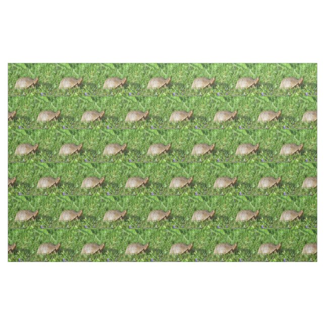 Tissu Tortue (Fat Quarter)