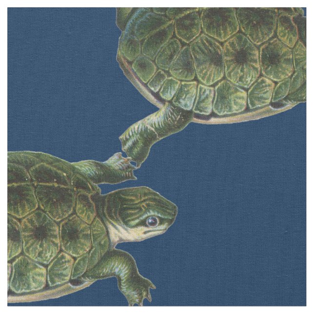 Tissu Tortue verte (Fermer)