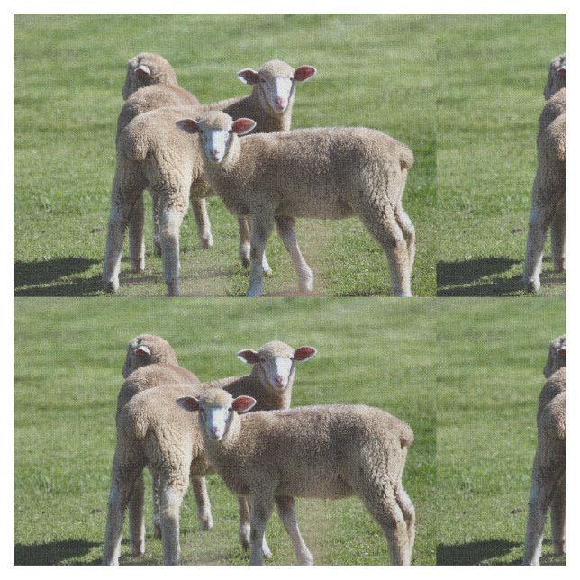 Tissu Touristes (Fermer)