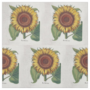 Tissu Tournesol Vintage Damas Fleur Art