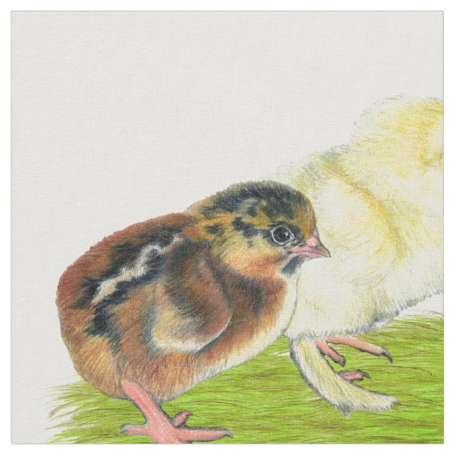 Tissu Trio de poussins (Fermer)
