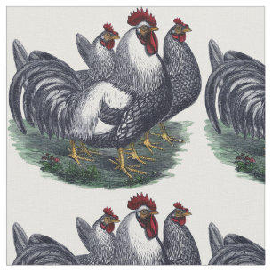 Tissu Trio vintage de poulet