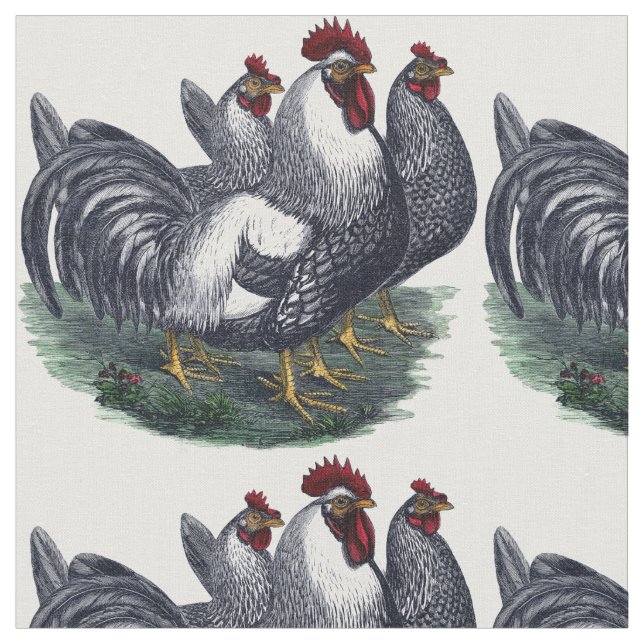 Tissu Trio vintage de poulet (Fermer)