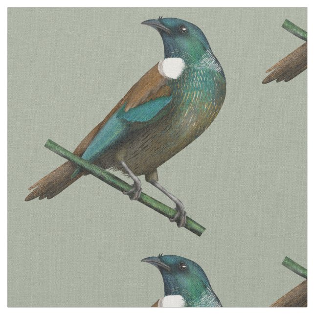 Tissu Tui New Zealands Bird (Fermer)