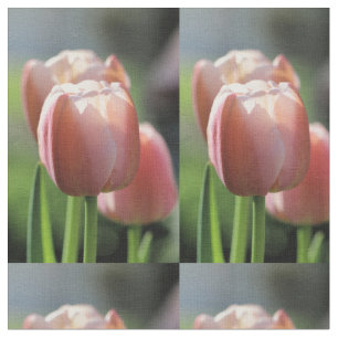 Tissu Tulipe rose