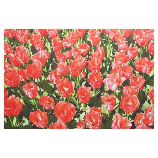 Tissu Tulipes rouges (Yard)