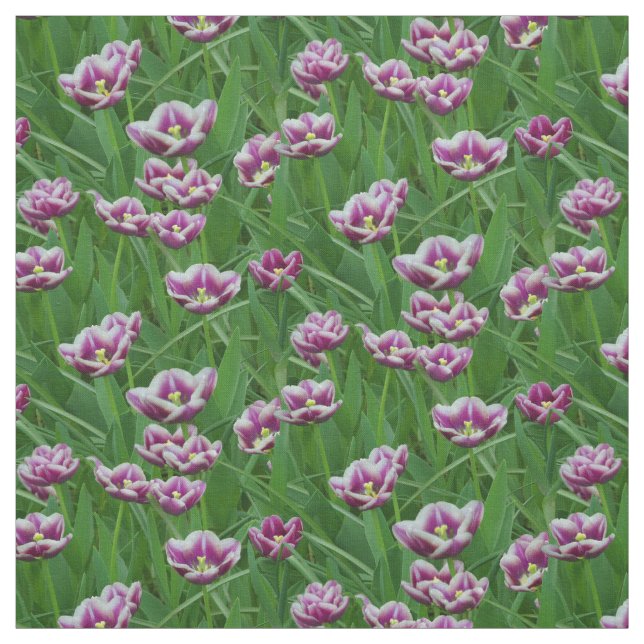 Tissu Tulipes violettes et blanches (Échantillon)