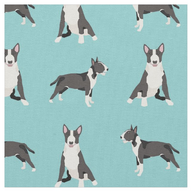 Tissu turquoise de taureau terrier (Fermer)