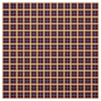 Tissu Université Winthrop Tartan