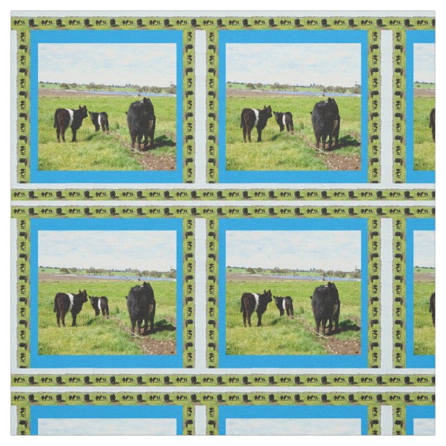 Tissu Vaches Galloway Ceinturées, Mère Et Bébé, (Échantillon)
