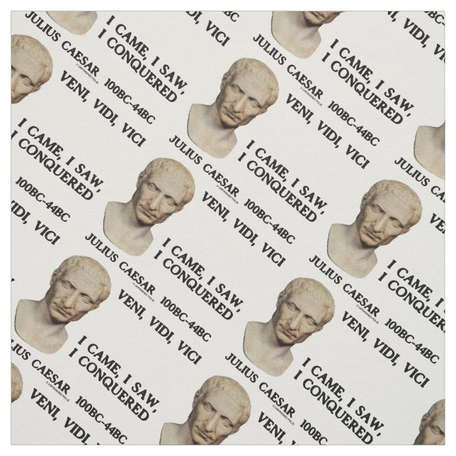 Tissu Veni, Vidi, Vici Je Suis Venue, J'Ai Vu, J'Ai Conq (Échantillon)