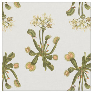 Tissu venus fleurs florales