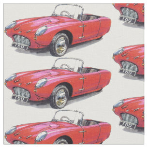 tissu vintage de voiture de Berkeley T60