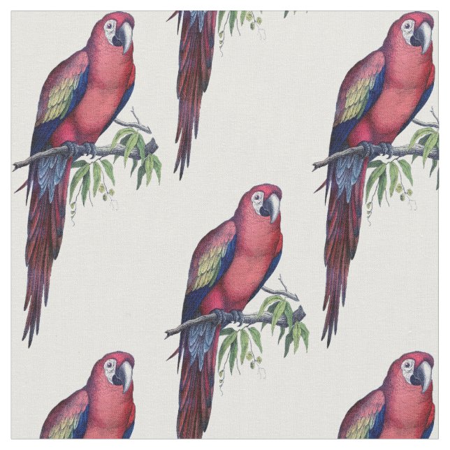 Tissu Vintage Macaw Bird (Fermer)