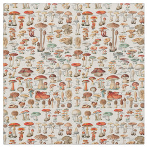 Tissu Vintage Mushroom Fungus Illustration I