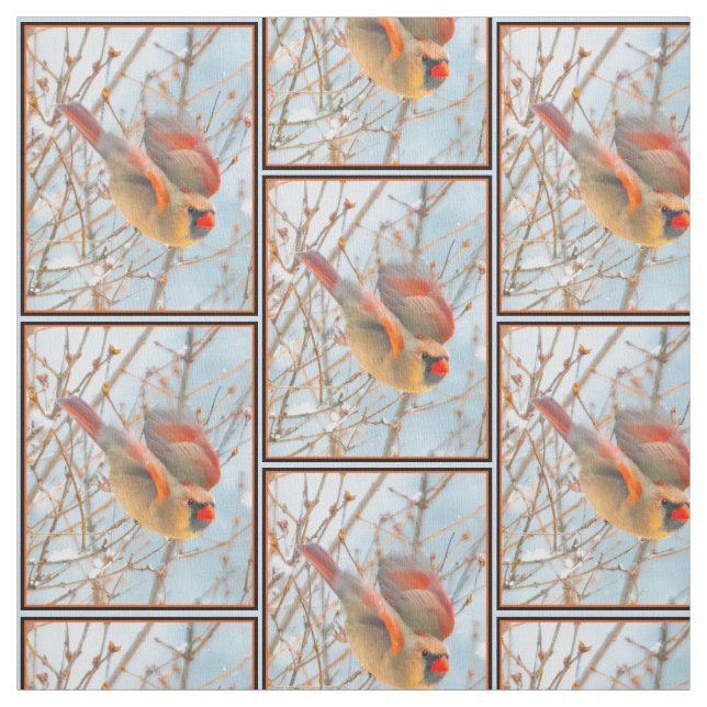 Tissu Vol Cardinal Nord - Photo originale (Échantillon)