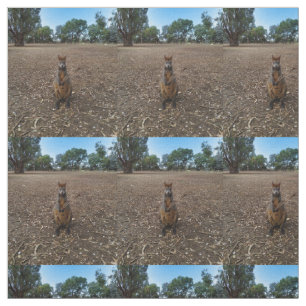 Tissu Wallaby Australienne Tenant Un Bâton,