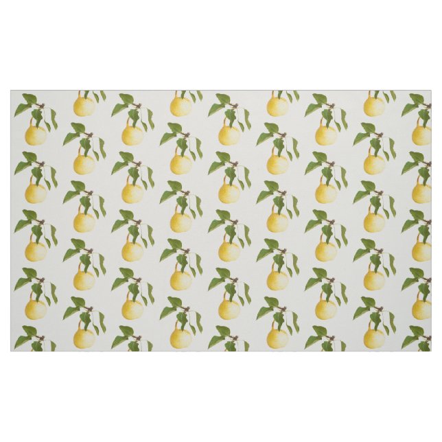 Tissu Wild pear (Fat Quarter)