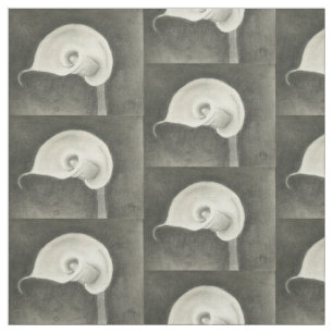 Tissu Zantedeschia