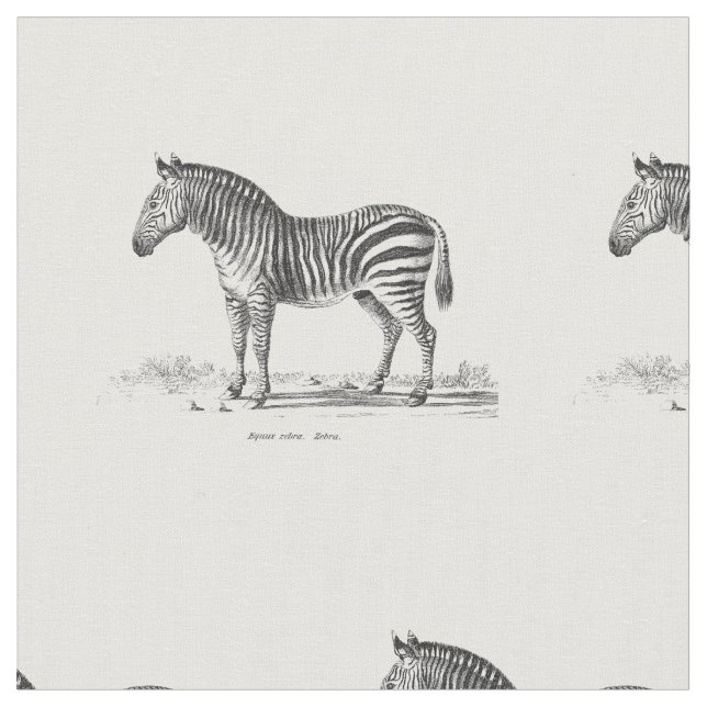 Tissu Zèbre vintage (Fermer)