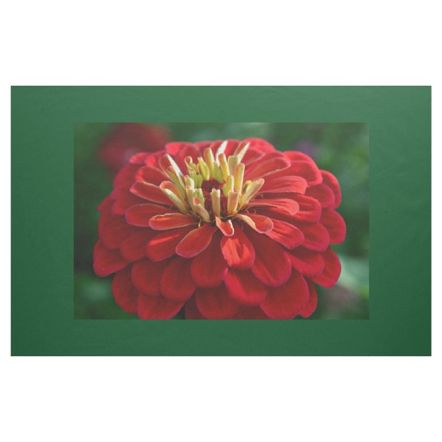 Tissu Zinnia rouge (Yard)