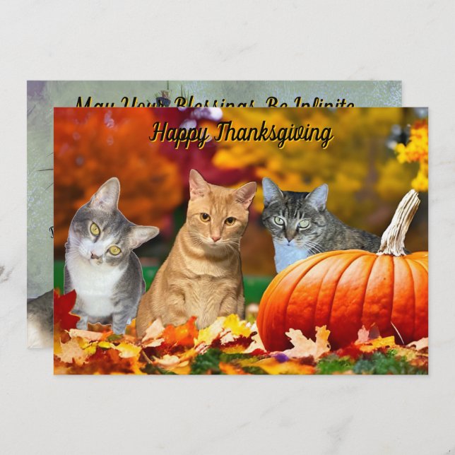 Tito, Taz, and Annie's 2025 Thanksgiving Flat Card (Devant / Derrière)