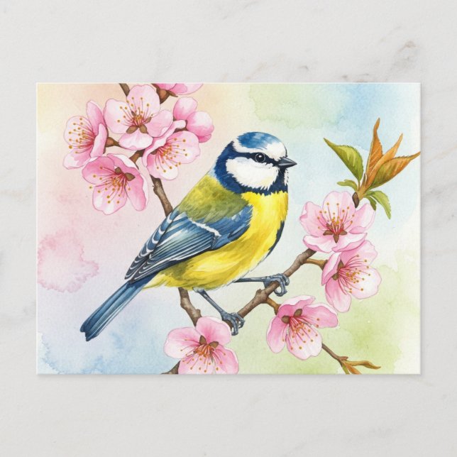 Titsouris, Sakura, carte postale du printemps (Devant)