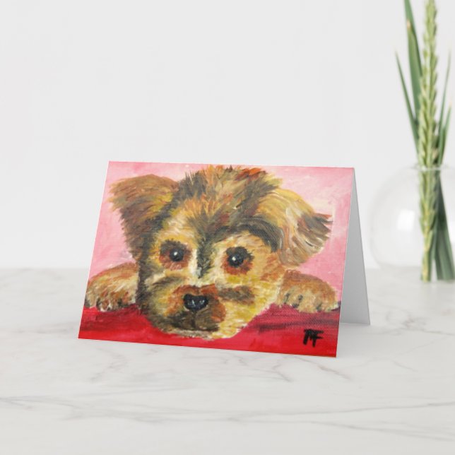 Tobi - carte de voeux (Devant)