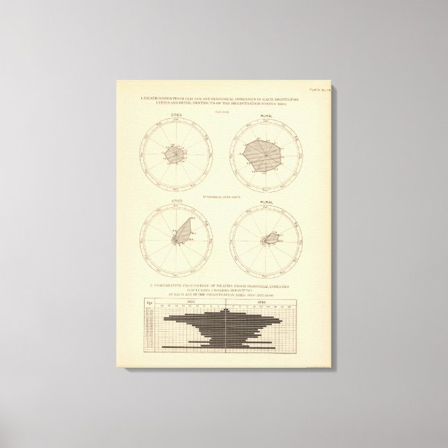 Toile 119 Décès vieillesse, maladies diarrhéiques 1900,  (Recto)