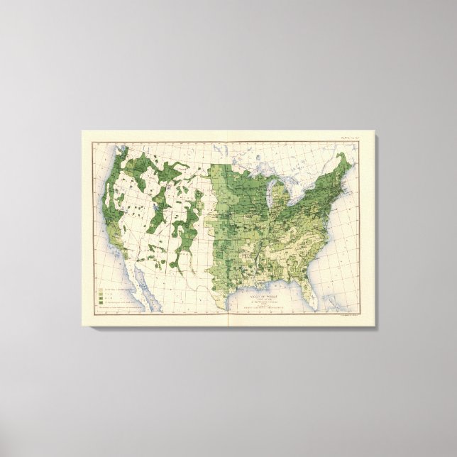 Toile 157 Blé/acre (Recto)