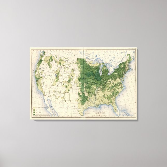 Toile 158 avoine/mille² (Recto)