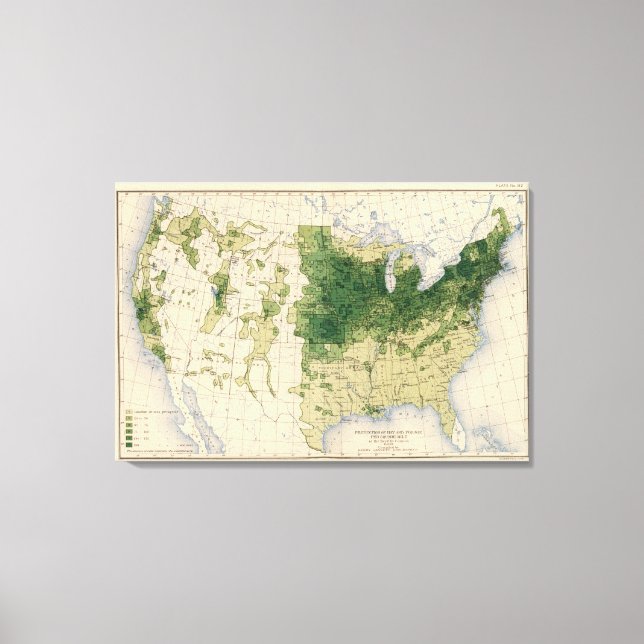 Toile 162 Poil, fourrage/mille carré (Recto)