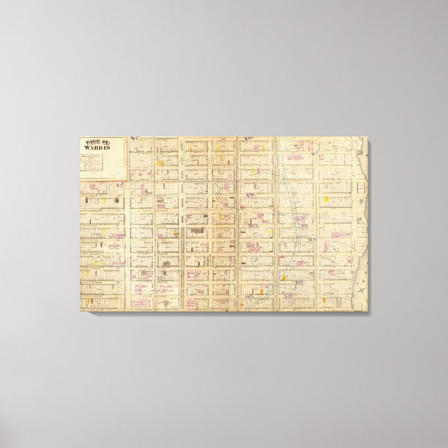 Toile 19 Ward 19 (Recto)