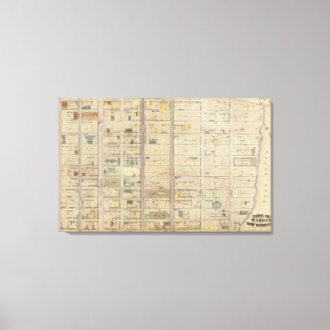 Toile 20 Ward 19 (Recto)