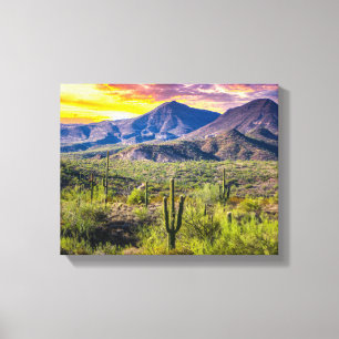 Toile 2124-2-Arizona Désert au coucher du soleil