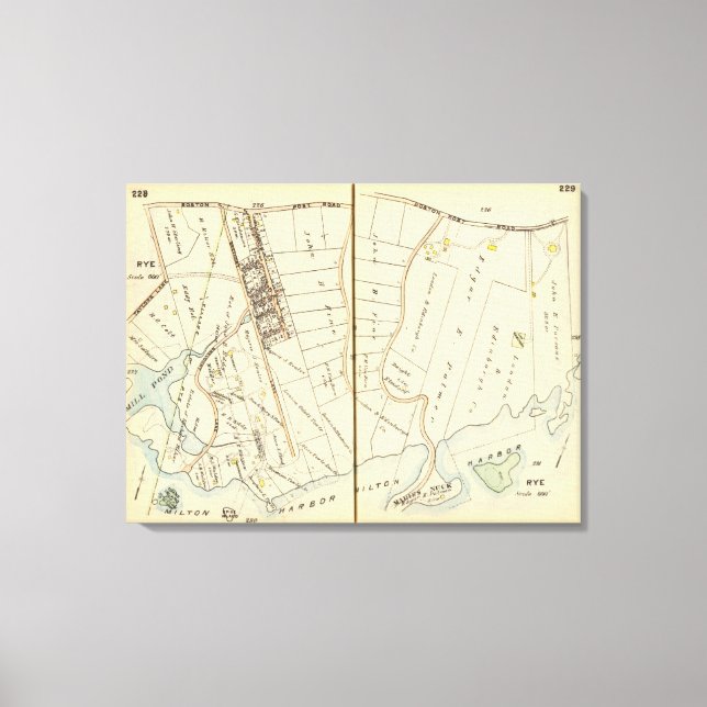 Toile 228229 Seigle (Recto)