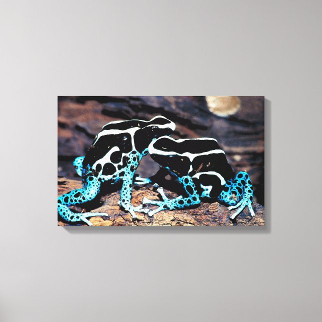 TOILE 23898179 (Recto)