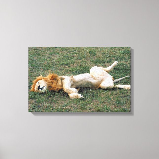 TOILE 23899172 (Recto)