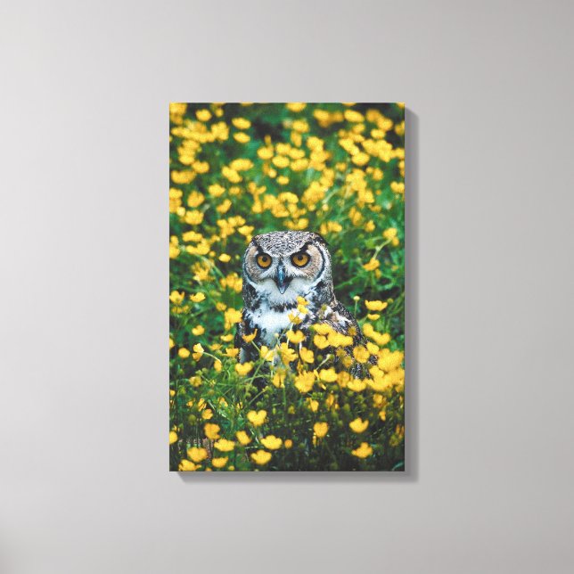 TOILE 23901671 (Recto)