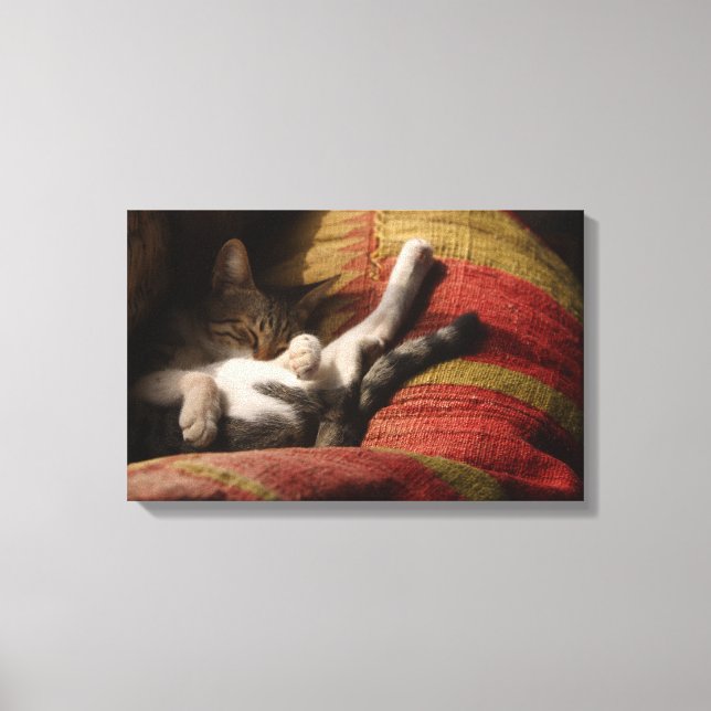 TOILE 24140641 (Recto)