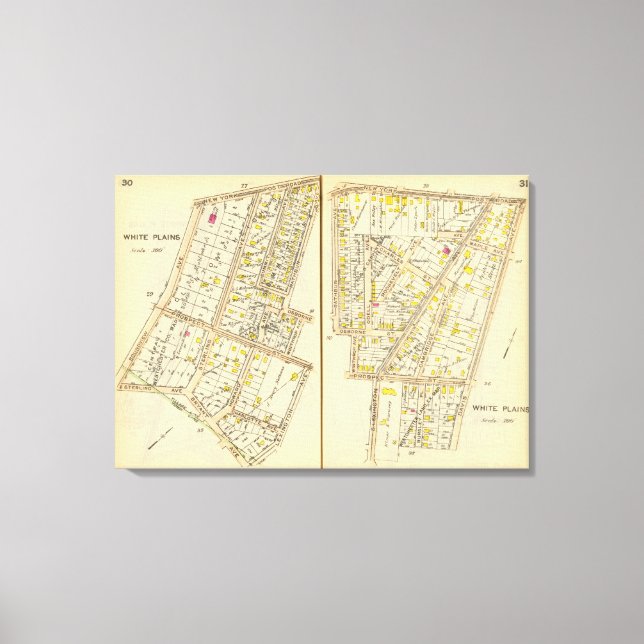 Toile 30-31 Plaines blanches (Recto)