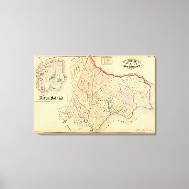 Toile 36 Ward 23 (Recto)