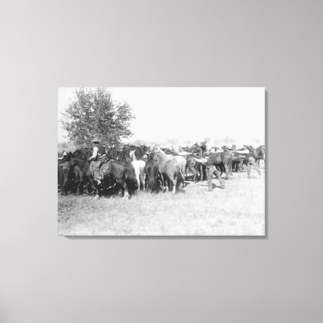 Toile 3 Cowboys Roping Horses PhotoDakota du Sud (Recto)