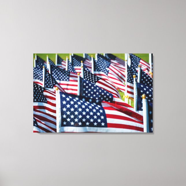 Toile 400 drapeaux flottant fièrement dans un champ (Recto)