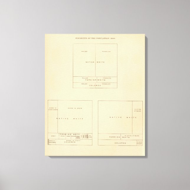 Toile 41 Éléments de la population 1900 (Recto)