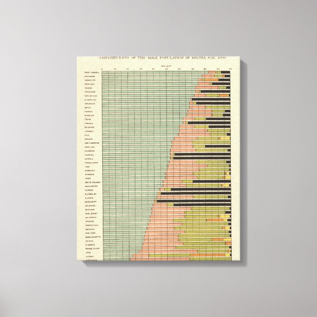 Toile 45 Constituants Population masculine 1900 (Recto)